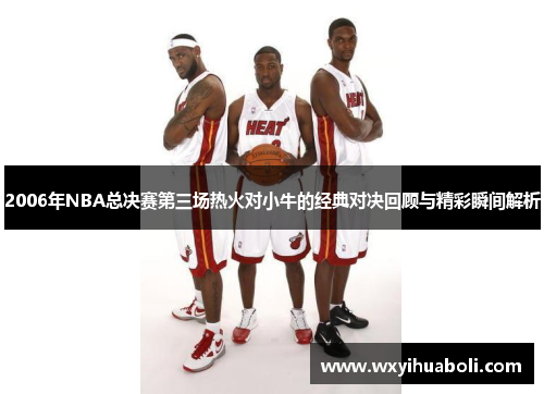 2006年NBA总决赛第三场热火对小牛的经典对决回顾与精彩瞬间解析