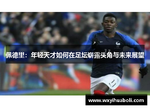 佩德里：年轻天才如何在足坛崭露头角与未来展望